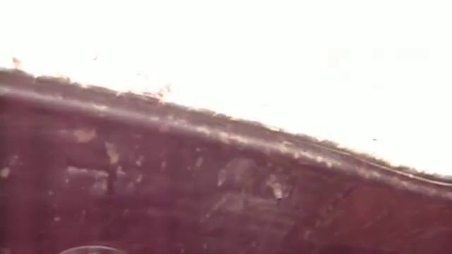 Соломономобиль-2 на болоте,15 смотреть онлайн