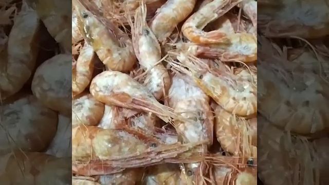 Креветки Ботан и Северная | Праймфиш | prime-fish.ru смотреть онлайн
