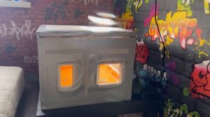 ПЕРЕПЕЛА из магазинных яиц. ЭКСПЕРИМЕНТ! ??Птенцы Цыпа и Наггетс