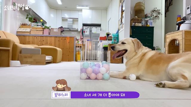 ???: 로또 1등되면 맨날 육포 사먹을꺼임. смотреть онлайн