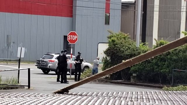 zombie Seattle? смотреть онлайн