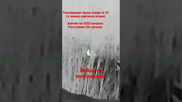 Аркон альфа st 19.зайцы в гон. заяц в тепло прицеле. смотреть онлайн