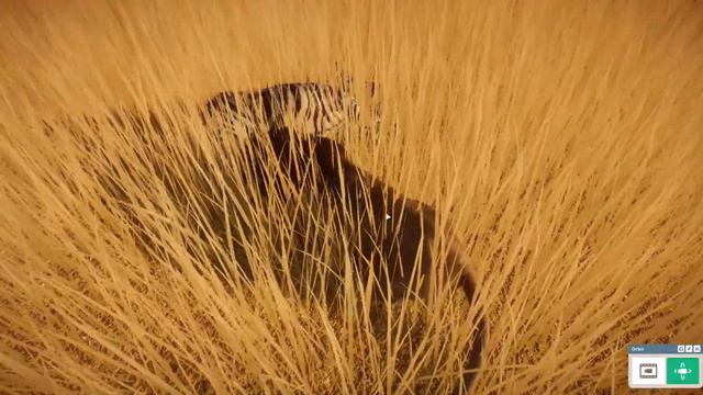 Planet Zoo: Lion attacks his Savanna friends смотреть онлайн