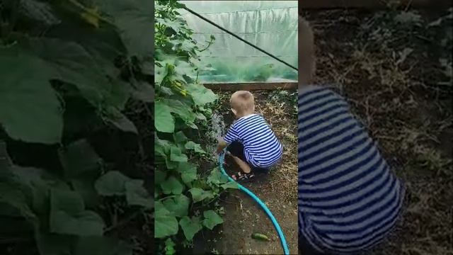 Во саду ли в огороде. Частушки смотреть онлайн