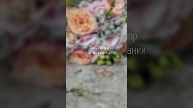 Заговор для выхода замуж смотреть онлайн