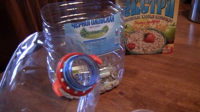 Разведение мучных червей (мучника, мучного хрущака, чернотелок) смотреть онлайн