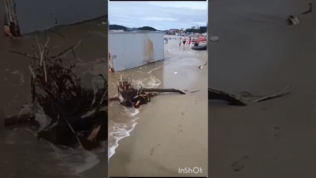 Андреевка (Приморский край) 31.08.2023 смотреть онлайн