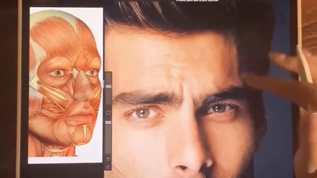 Procreate Infinite Painter курсы кисти art digital ipad рисуй портреты llsova andrushok синюхина ар смотреть онлайн