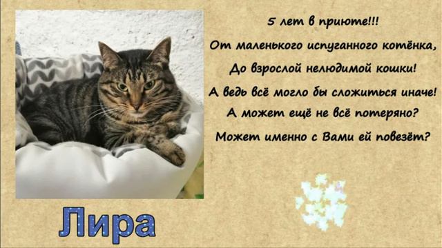 Долгожители смотреть онлайн