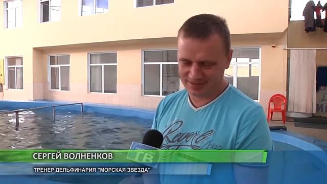 Новорожденный дельфиненок в Дельфинарии Морская звезда смотреть онлайн