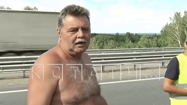 Дорога смерти - сотни дохлых кур неизвестные разбросали на трассе М7 смотреть онлайн