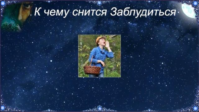 К чему снится Заблудиться (Сонник) смотреть онлайн