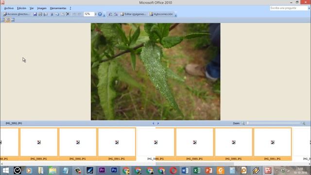 Cómo recortar muchas imágenes de una sola vez смотреть онлайн