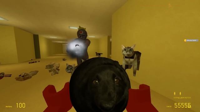 СБЕЖАЛИ РАДУЖНЫЕ ДРУЗЬЯ 2 В ЗАКУЛИСЬЕ Garry`s Mod