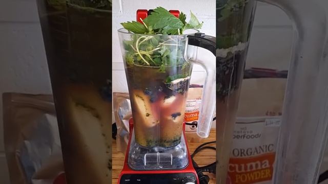 Top Blender 2020 | Optimum VAC2 Delicious Smoothie by Kelly More смотреть онлайн