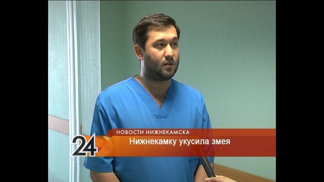 На двух нижнекамцев напали змеи смотреть онлайн