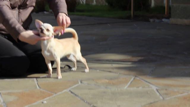 MVI 7050 смотреть онлайн