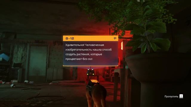 Stray! | ВОССОЕДИНЕНИЕ Дока и Шеймуса, аутсайд действительно опасен? | прохождение 2k 60fps | смотреть онлайн