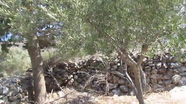 Крит Церковь Архангела Михаила смотреть онлайн