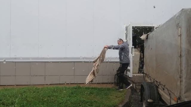 ВЛОГ Леши и Алины: как мы покупали холодильник смотреть онлайн