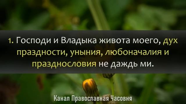 Молитва Ефрема Сирина в Великий Пост - 40 раз смотреть онлайн