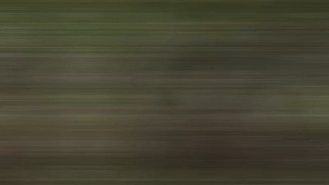 PHILIPPINE EAGLE VS GOLDEN EAGLE ─ Who Rules The Skies? смотреть онлайн