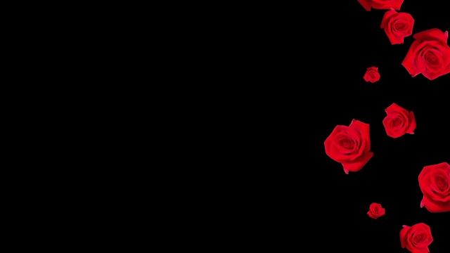 Футаж Красные розы справа смотреть онлайн