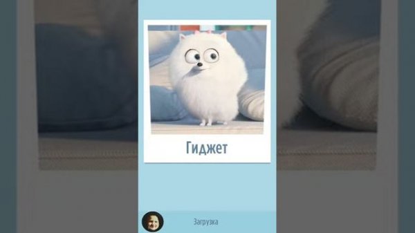 Игра тайная жизнь домашних животных. Playing the the secret life of pets.