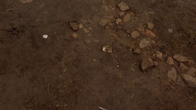 Карпаты - Самая высокая точка Украины - гора Говерла - 22 мая 2015 смотреть онлайн