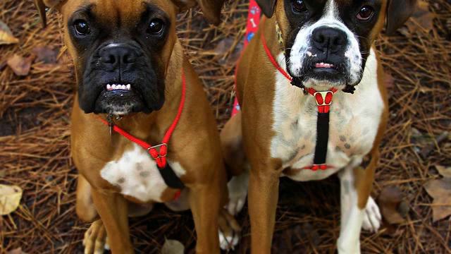 Канал красивых русских песен с тв в хорошем качестве