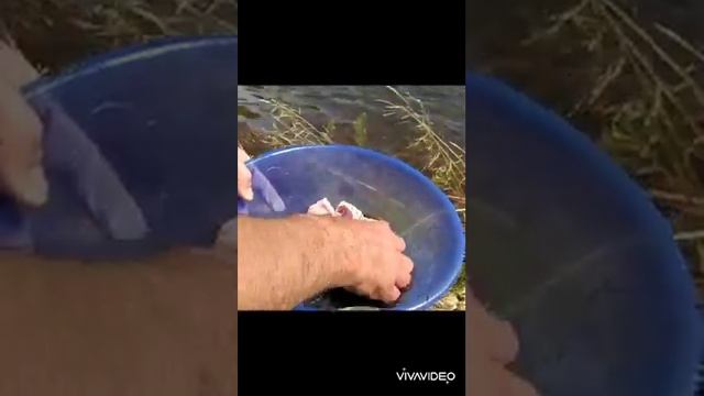 Готовим праздничный стол 