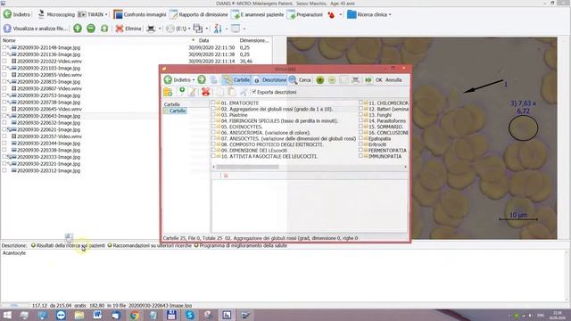 Dianel-Micro Software ITA for LBA Live Blood Analysis practitioners, Digital Microscopy, ver. 2020 смотреть онлайн