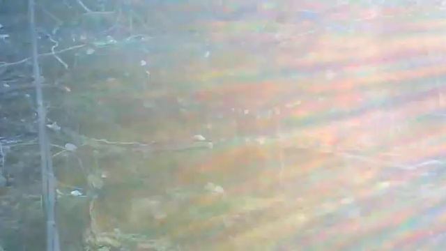 Рыбацкий бережок о. Сарпинский))) смотреть онлайн