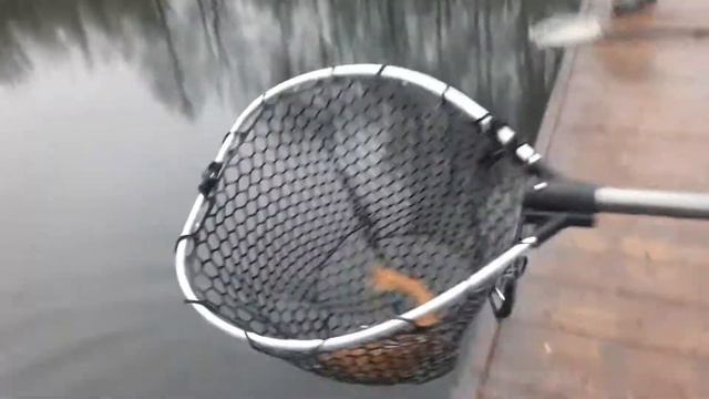 3. Утро в Парус север. смотреть онлайн