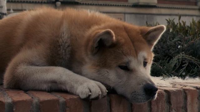 Красивая Музыка из фильма Хатико