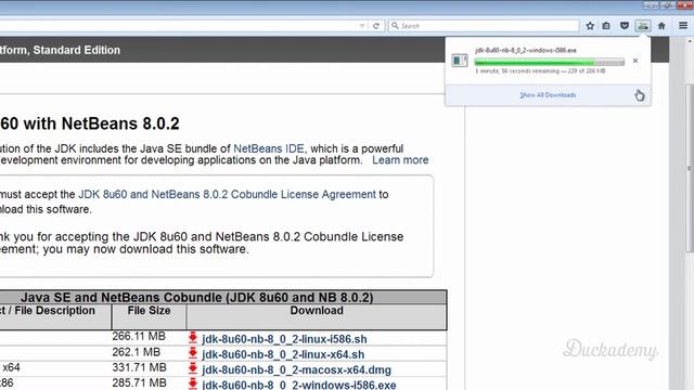 How to install NetBeans IDE and JDK on Windows for Java - Easy-to-follow Java programming смотреть онлайн