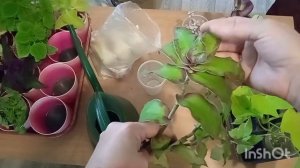 Получила свой заказ от Анны Пирматовой