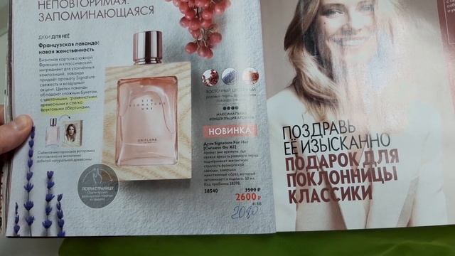 Обзор каталога 17 смотреть онлайн