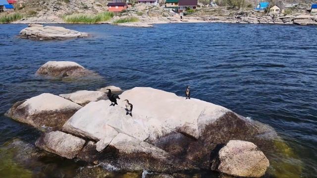 07.08.2021 Бухтарминское водохранилище\База отдыха "Чайка" смотреть онлайн