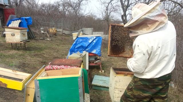 Пересаживаю пчел в новый улей лежак. смотреть онлайн