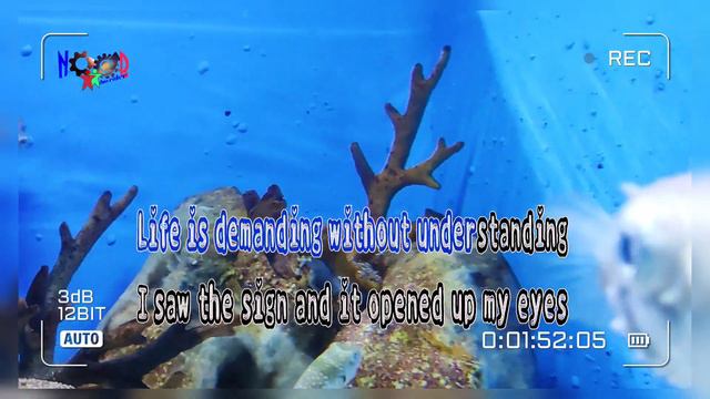 The Sign - Ace Of Base #karaoke смотреть онлайн
