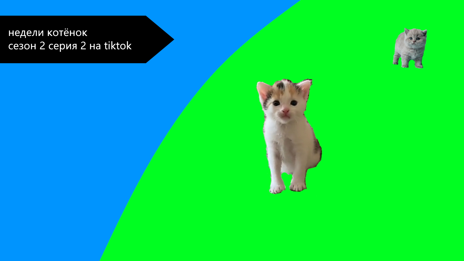 Недели котёнок сезон 2 серия 2 на tiktok смотреть онлайн