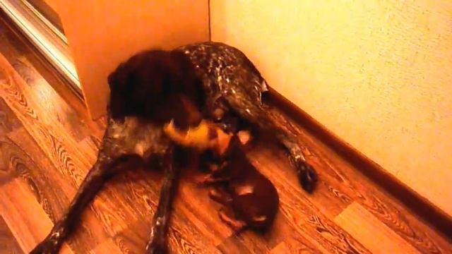 Mine and Nika смотреть онлайн