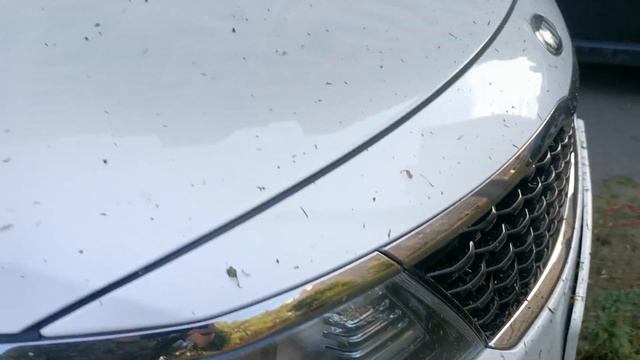 Осторожно ООО "УК "СТАНДАРТ СИТИ" Воронеж смотреть онлайн