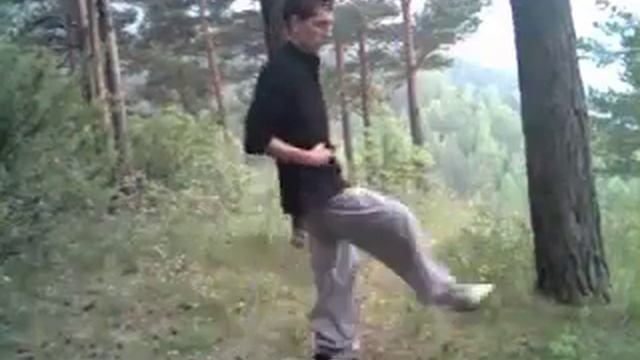 Боевые удары Ушу (Кунгфу) смотреть онлайн