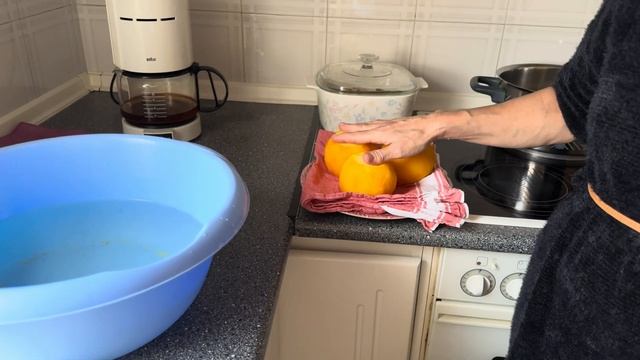 Домашний электрон