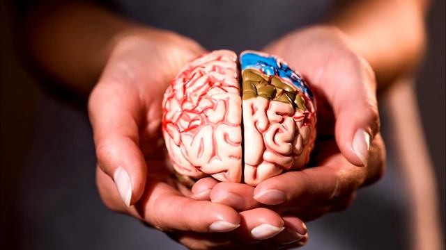 Еда и Мозг | Обзор на книгу авторов Дэвид Перлмуттер и Кристин Лоберг смотреть онлайн