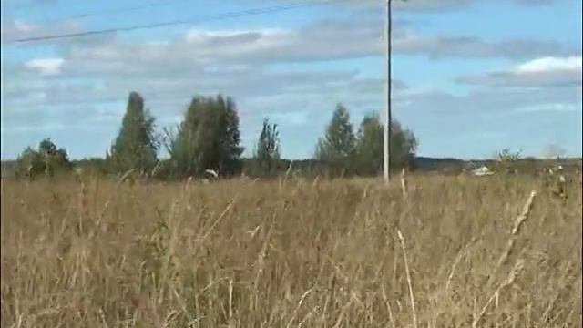 Ефремова Елена Николаевна - глава крестьянского фермерского хозяйства смотреть онлайн