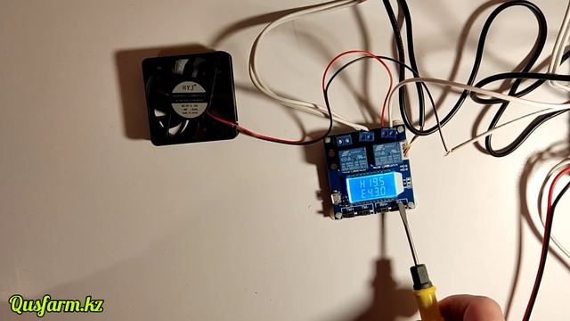 Регулятор температуры и влажности модель XY-TR01 для Инкубатора, теплицы жк дисплей смотреть онлайн