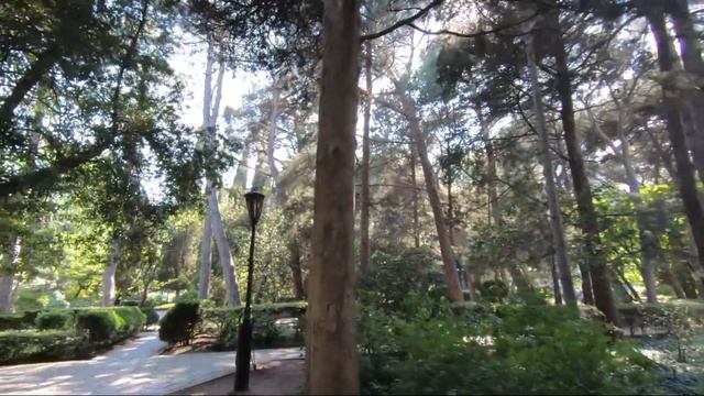 ГУРЗУФ - вот где КРАСОТА! Парк санатория Гурзуфский. ЛУЧШИЕ МЕСТА в Крыму для отдыха. смотреть онлайн